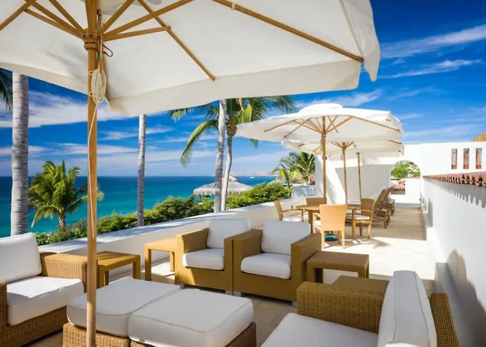 Tropical In Baja California Sur